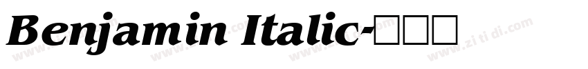 Benjamin Italic字体转换